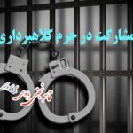 مشارکت در جرم کلاهبرداری