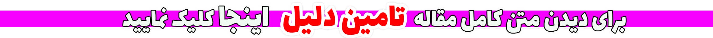 تامین دلیل